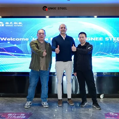 میکسیکو کے صارفین GNEE STEEL پر جاتے ہیں۔