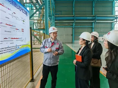 GNEE STEEL سرد-رولڈ اسٹیل کوائل کے معیار کو بلند کرنے کے لیے فیکٹری کا معائنہ...